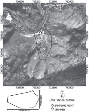 Figure 1. Georeferenced aerial photo of the study area under direct influence of Pb mining and metallurgy (the abandoned factory is located close to the Ribeira river), in Adrianópolis (PR), Brazil