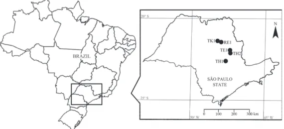 Figure 1. Locations of the soil sampling sites under sugarcane cultivation in São Paulo State, Brazil.