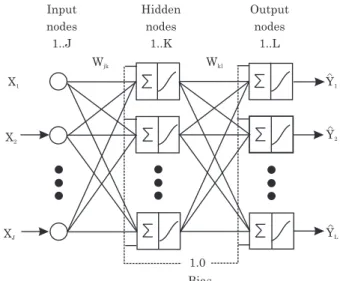 Figure 2. Schematic overview of a three-layer neural network. Source: Schaap &amp; Leij (1998).