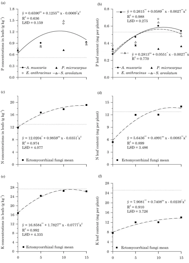 Figure 2. Leaf concentrations and contents of P (a, b), N (c, d), and K (e, f) for Eucalyptus urophylla rooted  cuttings that received increasing inoculum application rates of Amanita muscaria, Elaphomyces  anthracinus,  Pisolithus microcarpus, and Sclerod