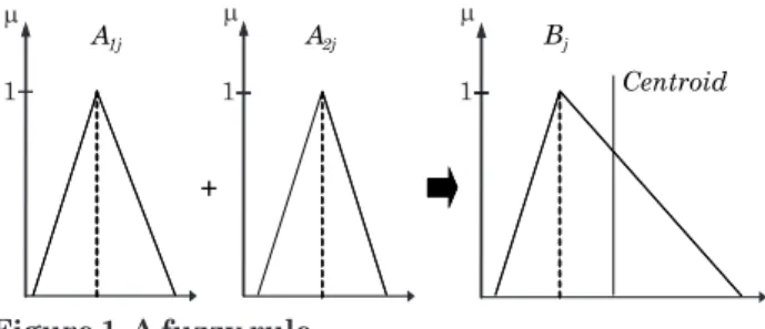 Figure 1. A fuzzy rule.