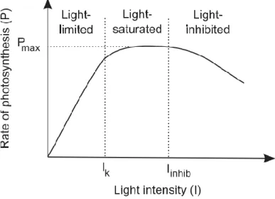 Figura 2 -Exemplo de uma relação típica entre a intensidade luminosa e a taxa fotossintética (Béchet  et al., 2013)
