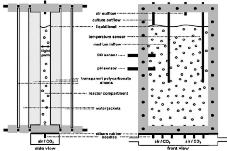 Figura 6 - Vista lateral e frontal de um PBR do tipo Flat Panel (R. N. Singh &amp; Sharma, 2012)