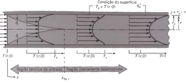 Figura 4.8 - Desenvolvimento da camada limite térmica para um escoamento laminar no interior de um tubo circular  (adaptados de (Incropera et al., 2007))