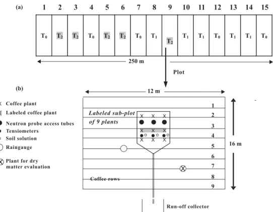 Figure 1. Schematic field layout: (a) Distribution of treatments T 0 , T 1  and T 2  on plots across the 0.2 ha coffee plantation; (b) Details of a T 2  plot indicating the nine coffee rows of 12 m, and the fertilizer-N balance sub-plot of nine plants, wit