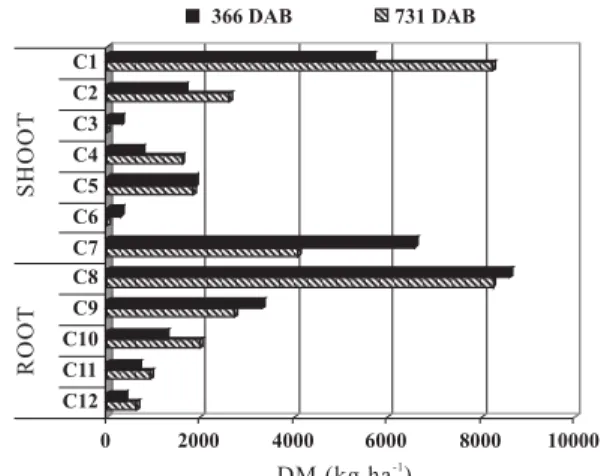 Figure 4. Shoot and root average dry matter (DM) distributions at the end of each agricultural year.