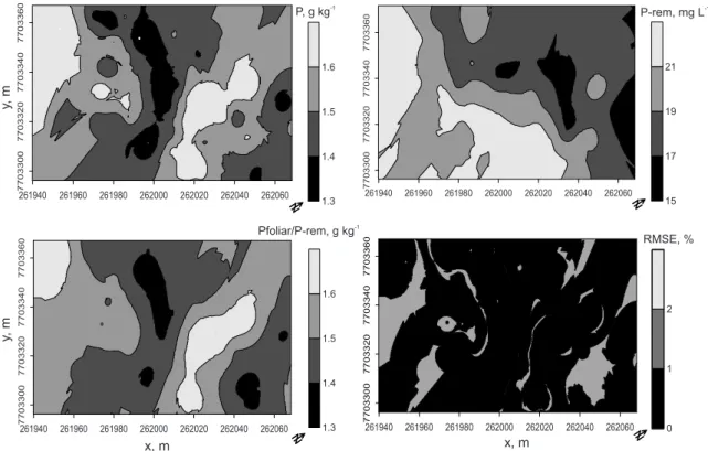 Figure 1. Spatial distribution maps obtained by ordinary kriging (foliar P and P-rem), cokriging (Pfoliar/P- (Pfoliar/P-rem) and root mean square error (RMSE) for the Coffea canephora Pierre cv Conilon.