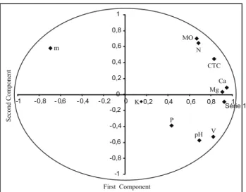 Figure 3. Grouping of strawberry fields based on the application of PCA for soil chemical variables in the 0-0.20 m layer