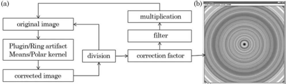 figure 2. (a) flowchart of the image artifact extraction process. (b) image generated during the ring- shaped  artifact extraction process