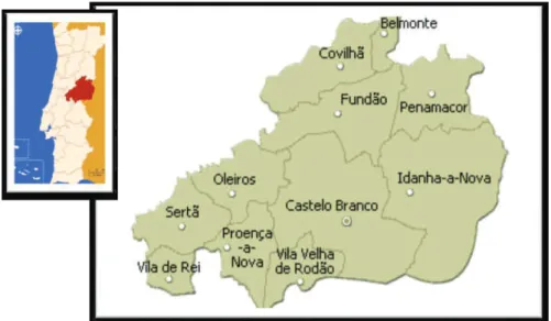                        Figura 11. Mapa do distrito de Castelo Branco. 