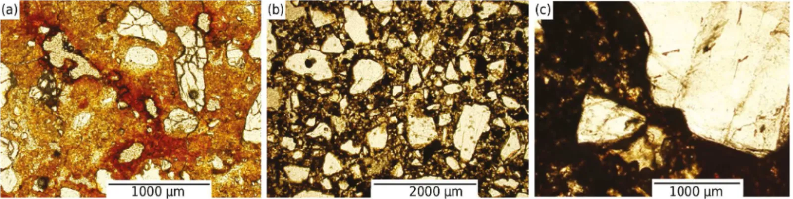 Figure 5. Micrographs (under planar polarized light) of selected micromorphological features from cemented horizons with “x” subscript  (fragipan and ortstein)