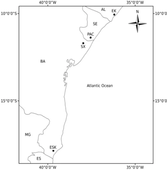 Figure 1. Location of the pedons sampled in the municipalities of Coruripe (AL), Umbaúba (SE),  Acajutiba (north of BA), and Nova Viçosa (south of BA)