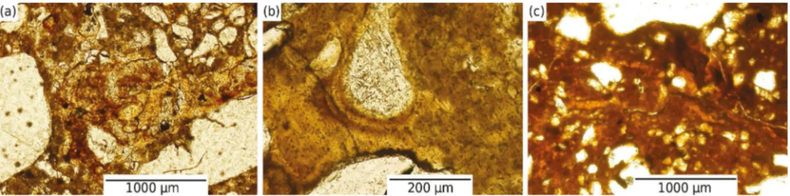 Figure 4. Micrographs (under planar polarized light) of selected micromorphological features from Btgm cemented horizons