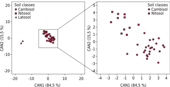 Table  6. Sample classification into four soil classes (Neossolos, Cambissolos, Nitossolos, and  Latossolos) as determined using the two discriminant functions on the A and B horizons