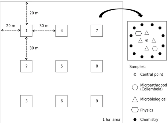Figure 1. Sampling scheme for the collection points of biological, physical, and chemical soil  analysis.
