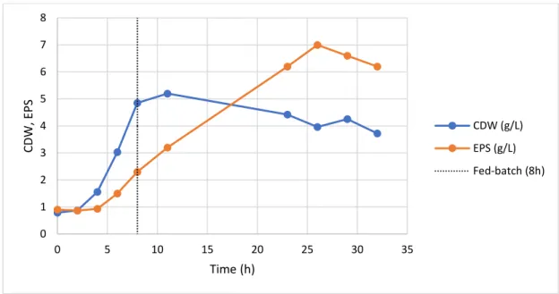 Figure 6: Cultivation profile (CDW and EPS production) during the fed-batch cultivation of Enterobacter A47 using  the apple pomace soluble fraction as sole substrate