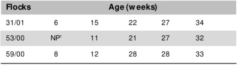 Table 2 –  Flocks age (w eeks) w hen M S-positive tests w ere detected.