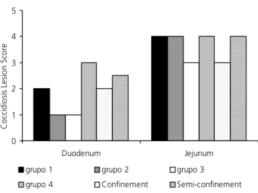 Table 6 - Intestine development of colonial broiler chicken raised in confinement or semi-confinement with diets supplemented with different additives from 1 to 84 days of age.