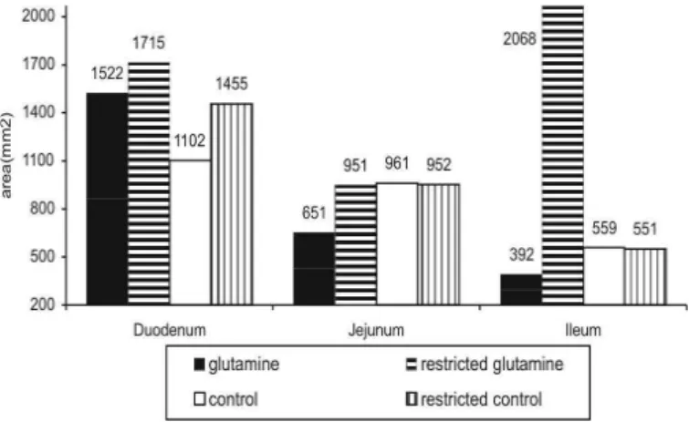 Figure 2  – ODC expression in the small intestine of broilers at 14 days of age. The area readings are indicated.