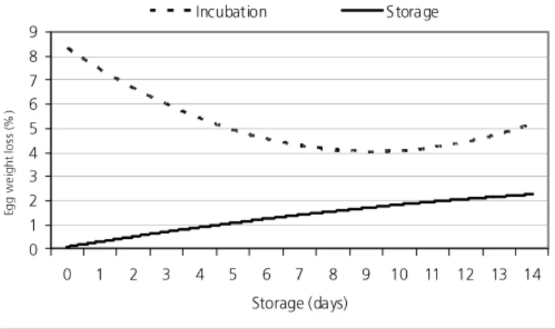 Figure 3 - Percentage of egg weight loss during storage and incubation of Egg type quail eggs.