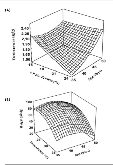 Figure 2 - Interaction between protein and age for feed conversion (A) and between age and temperature for weight gain (B) of broiler chickens (response surface graph).