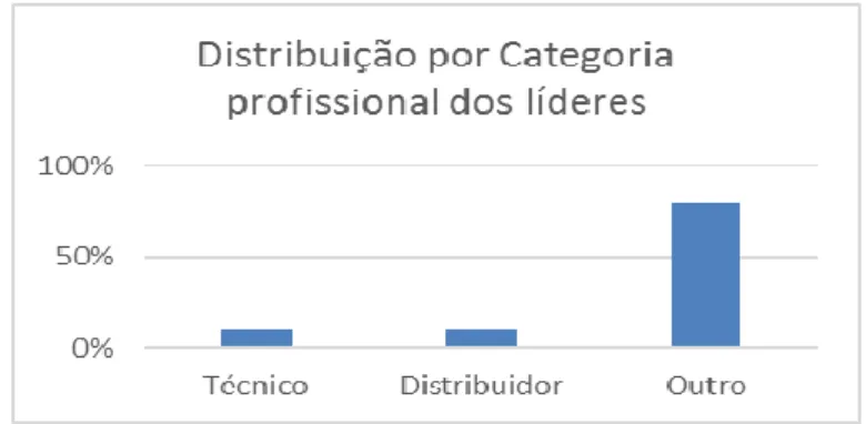 Figura nº 14: Distribuição por Categoria profissional dos líderes.