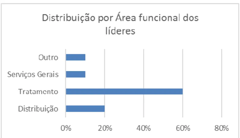 Figura nº 15: Distribuição por Área funcional dos líderes.  