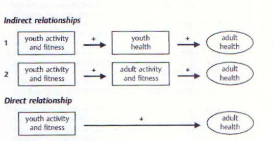 Figura 13 - Possíveis relações entre a actividade física, a aptidão física e a saúde  durante a infância e adolescência e a saúde na idade adulta (retirado de Twisk et al.,  2002) 