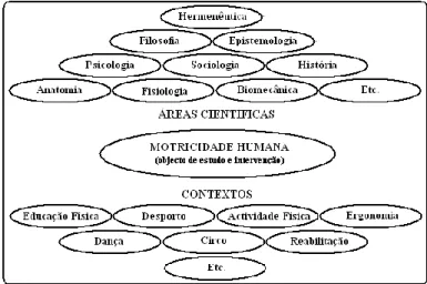 Figura 1 - Matriz Referencial da Motricidade Humana (baseado em Figueiredo, 1994b; 1995) cit in  Figueiredo 2006, p