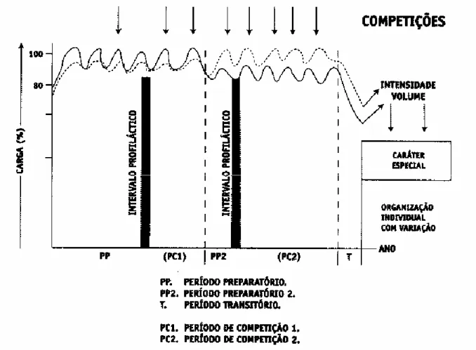 Figura 11 - Periodização para competidores de alto nível (Forteza, 2001, cit in Lopes, 2004) 