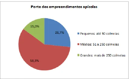 Gráfico 5: Porte dos empreendimentos apícolas da região de São João Evangelista-MG, Brasil
