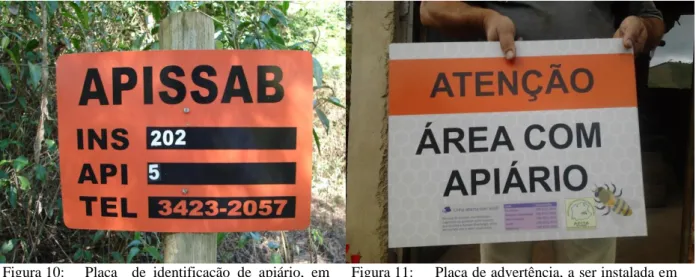 Figura 10: Placa    de  identificação  de  apiário,  em  área  da  Celulose  Nipo-Brasileira  S