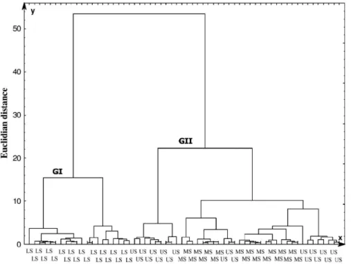 Figure 3. Dendrogram of the interrelationships between the three landscape segments: Upper slope (US), Middle Slope (MS) and Lower Slope (LS), obtained in the cluster analysis using the Euclidean distance and Ward algorithm, referring to the properties MS 