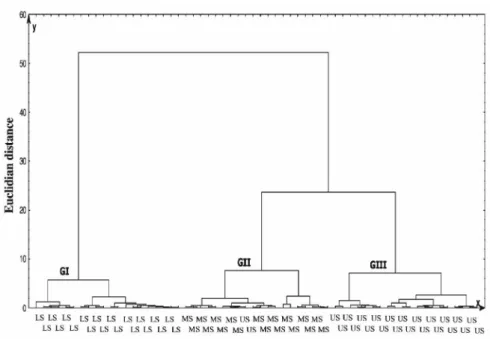 Figure 4. Dendrogram of the interrelationships of the three landscape segments: Upper slope (US), Middle Slope (MS) and Lower Slope (LS), obtained in the cluster analysis using the Euclidean distance and Ward algorithm, referring to the properties MS ADFE 