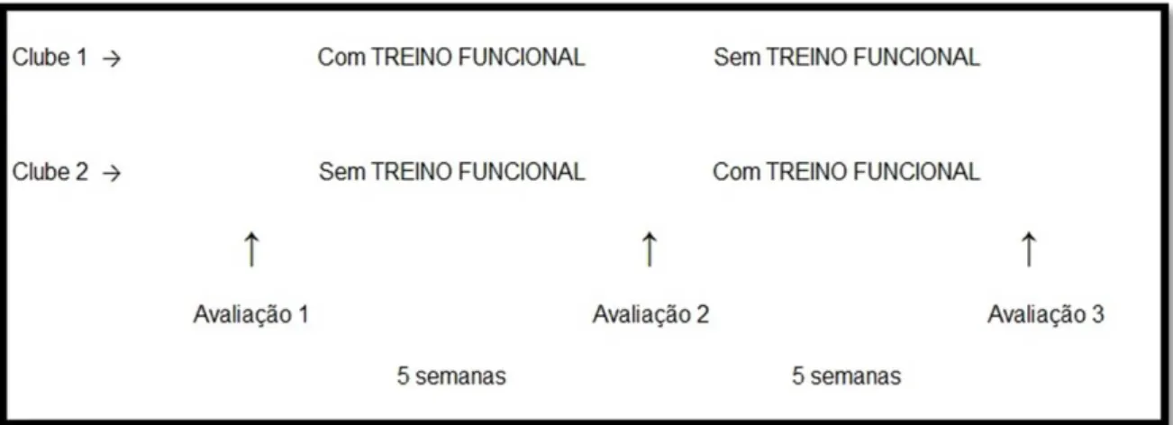 Figura 2. Design experimental do programa de treino.