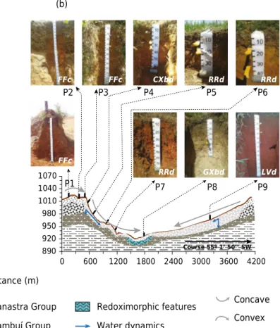 Figure 2.  Topographic profile of toposequences Estanislau-T1 (a) and Alto Jardim-T2 (b), and location of the studied soil profiles (P)