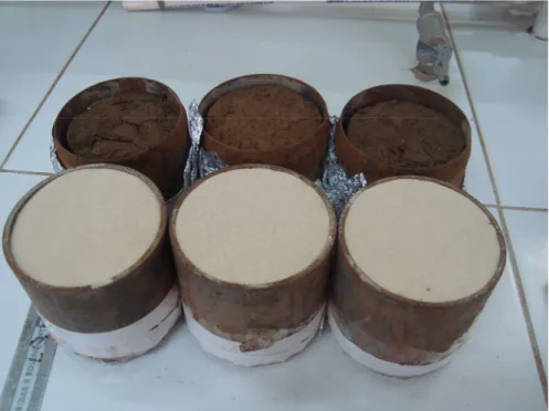 Figure 1. Soil samples with undisturbed 
