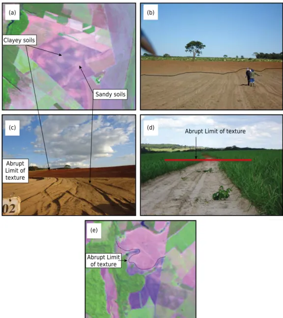 Figure 6.  Illustration of field work: (a) Landsat image indicating areas with bare soils, sandy and  clayey; (b) soil variability and sampling in the field; (c) Soil variability in an area with bare soil; (d) Soil  variability in an area with vegetation c