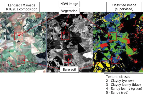 Figure 3.  Sequence of observations from Landsat image, NDVI image, and supervised classification  image (Demattê et al., 2009).