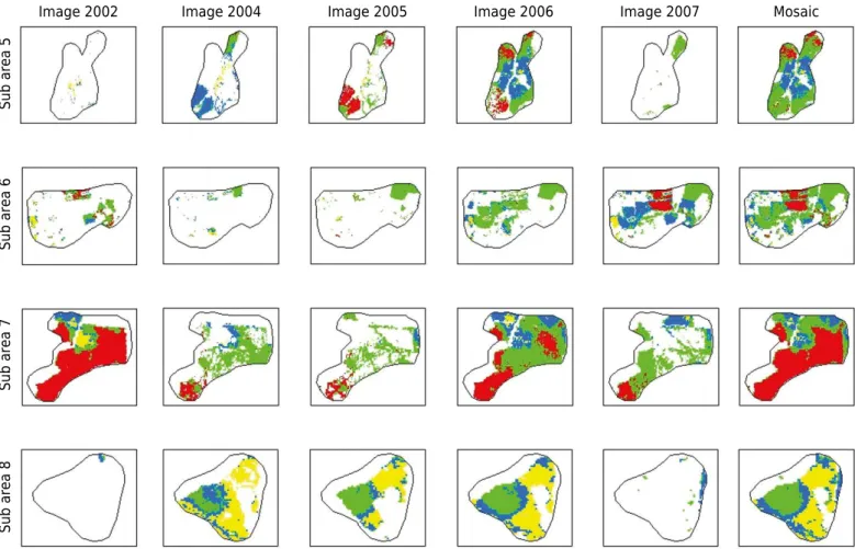 Figure 5.  Coverage of the supervised classification image in each image by sub-areas (5, 6, 7, and 8) and mosaic of all the images