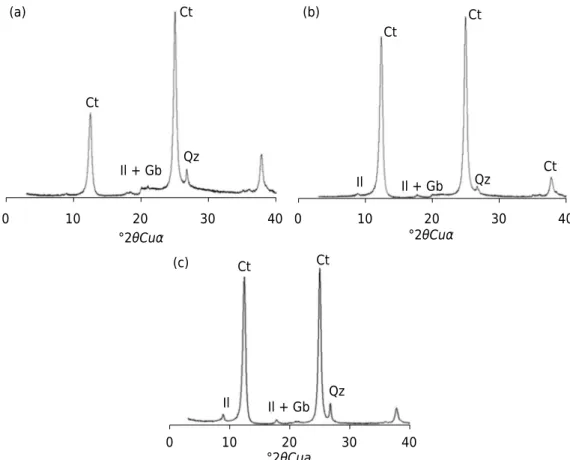 Figure 3.  Clay fraction diffractograms of the toposequence studied. Examples of some profiles  and depths analyzed