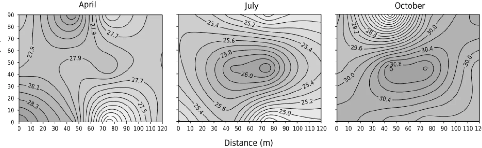 Figure 4. Spatial distribution of soil monthly mean temperature at a 0.05 m depth of a Cambissolo Háplico Ta Eutrófico (Cambisol; 