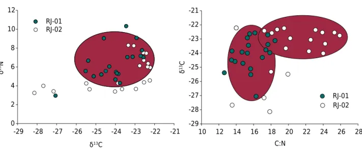 Figure 3.  Relationships between δ 13 C and δ 15 N (left) and between δ 13 C and C:N (right) for Organossolos in the upper montane  environment of Itatiaia National Park, Rio de Janeiro, Brazil.