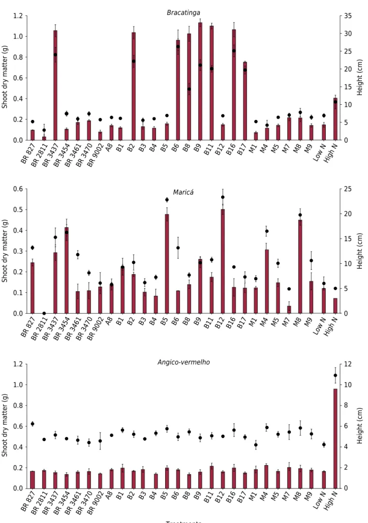 Figure 1.  Shoot dry matter (magenta bars) and plant height (black circles) of  bracatinga, maricá and angico-vermelho inoculated  with rhizobia indigenous to coal mining areas or with the recommended strains of reference