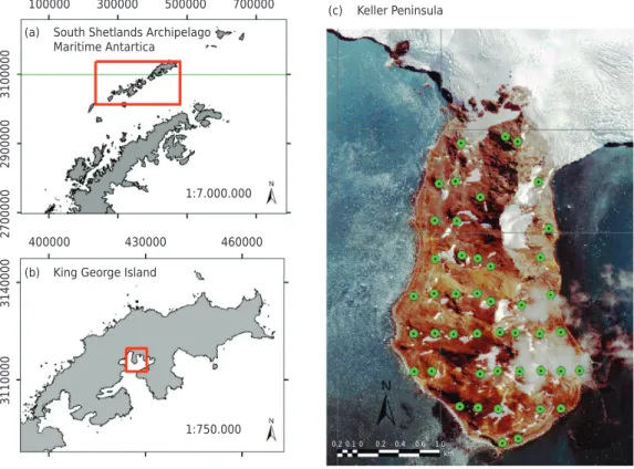 Figure 1. Localization of the study area (a, b) and the collection points in the soil grid in Keller  Peninsula (c).