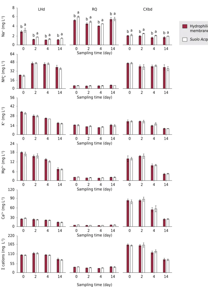 Figure 3. Cation concentrations over the sampling period in solutions of the studied soils