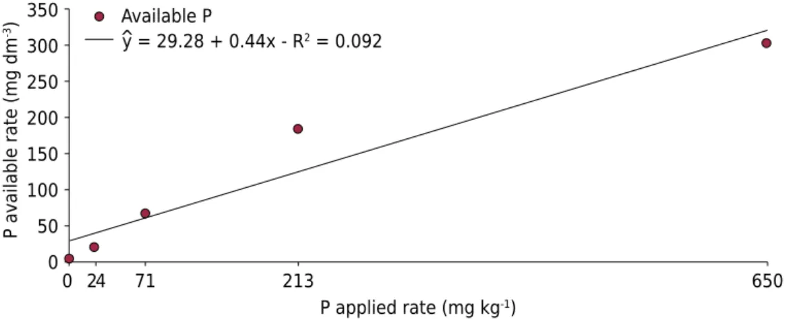 Figure 1.  Relationship between applied P and available P (significant at 1%, by the F test) in the  soil, evaluated through the Mehlich-1 extractant.