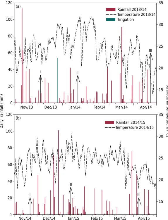 Figure 2. Rainfall and average air temperature in crop season of 2013/14 (a) and 2014/15 (b)