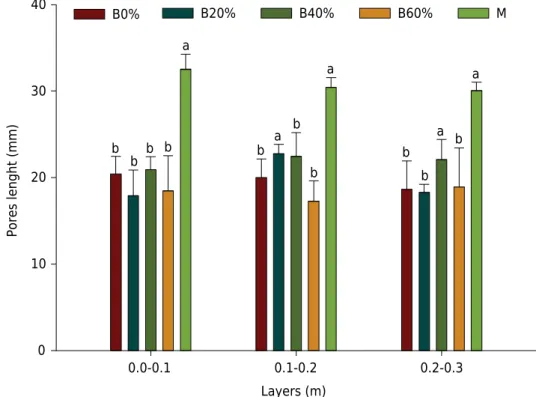 Figure 4. Average pore length, with the standard deviations from the mean, for areas  under fig cultivation and secondary native forest