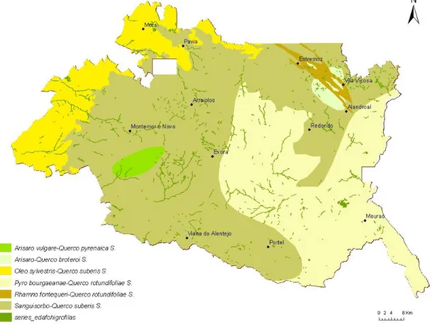 Figura 1 – Mapa de Séries da Vegetação. 
